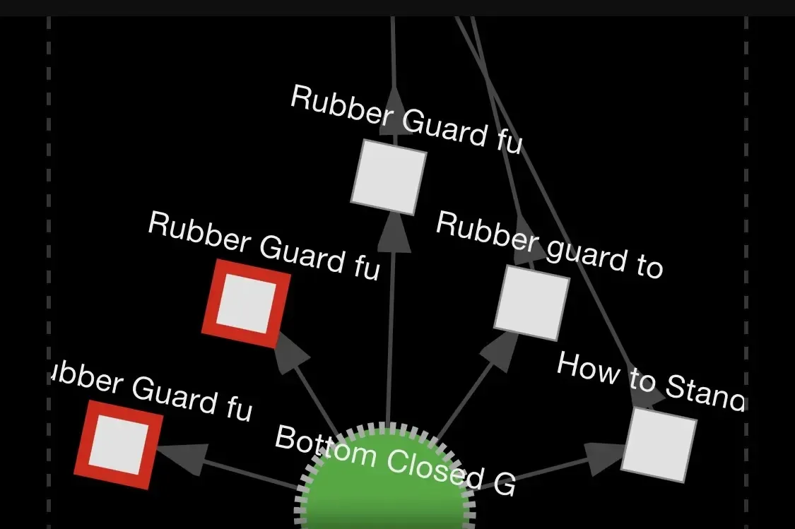 Way Of BJJ